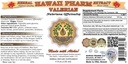 hawaiipharm-valerian-valeriana-officinal-2.jpg