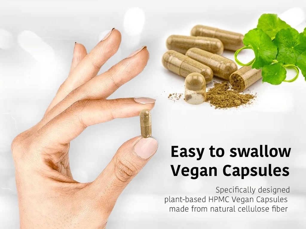 dr-wakdes-neem-turmeric-capsules-60-veg--4.jpg