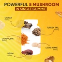 lions-mane-mushroom-gummies-for-relaxati-3.jpg