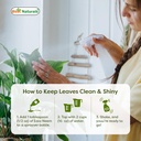 best-naturals-100-pure-neem-oil-100-cold-2.jpg