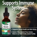 natures-answer-alcohol-free-reishi-extra-4.jpg