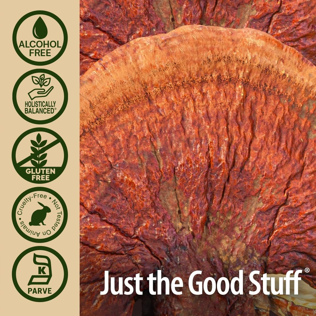 natures-answer-alcohol-free-reishi-extra-5.jpg