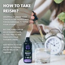 loov-organic-reishi-mushroom-supplement--5.jpg