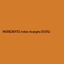 killi-kuppaimeni-indian-acalypha-indian--5.jpg