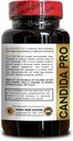 candida-pro-complex---advanced-gut-clean-3.jpg