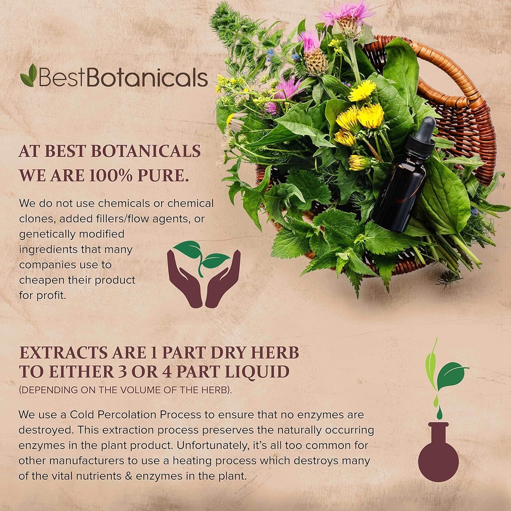 best-botanicals-astragalus-root-powder-1-5.jpg