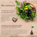 best-botanicals-astragalus-root-powder-1-5.jpg