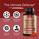 premium-berberine-supplement-with-resver-2.jpg