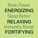 plant-therapy-total-wellness-trio-set-30-4.jpg