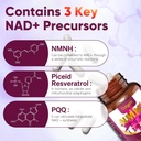 11-in-1-nmnh-dihydronicotinamide-mononuc-3.jpg