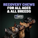 bully-max-2-in-1-post-workout-recovery-s-2.jpg