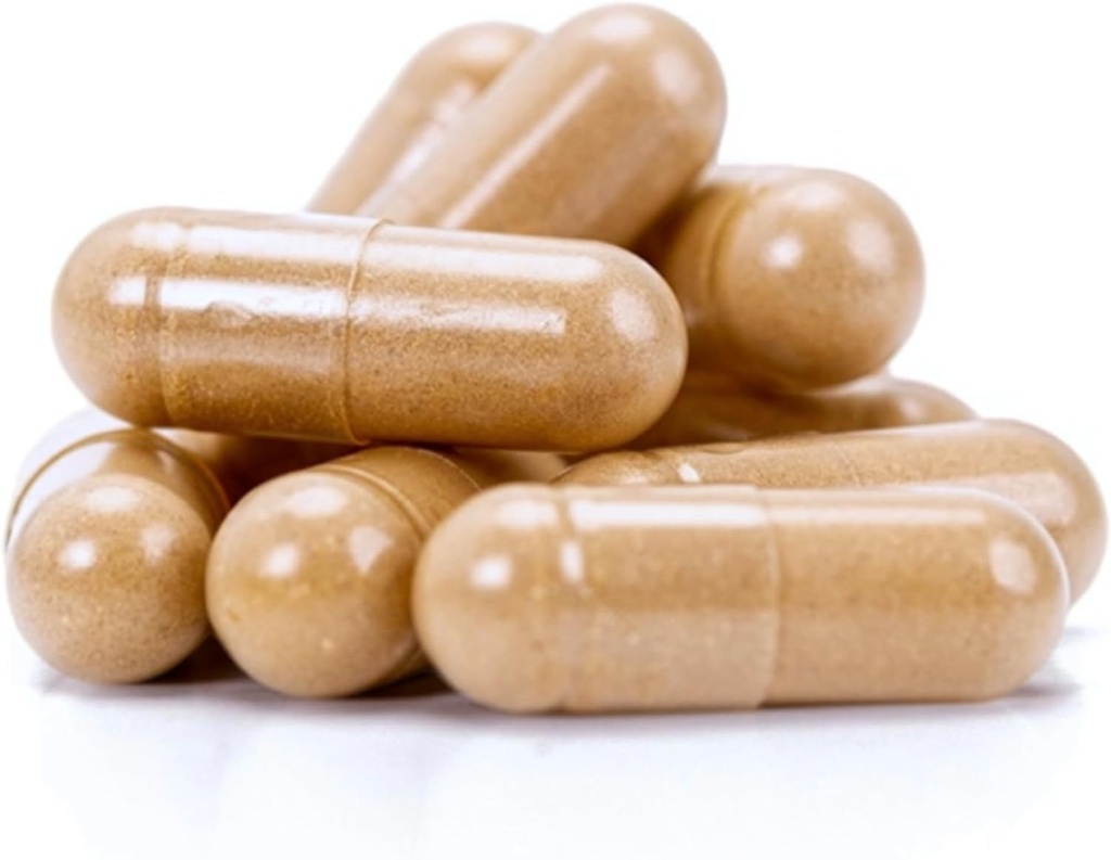north-spore-organic-turkey-tail-extract--6.jpg