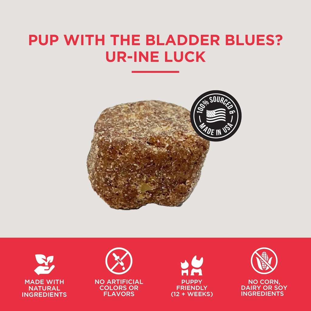 natural-rapport-dog-bladder-support---th-4.jpg