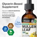 bio-krauter-mullein-tincture-2-fl-oz-hol-4.jpg