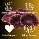 reishi-tincture-daily-supplement-double--4.jpg