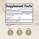 hpd-rx-organic-mushrooms-bundle-mushroom-3.jpg