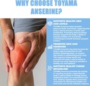 natural-toyama-anserine-supplement-made--3.jpg