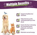 amber-naturalz-life-cell-support-herbal--2.jpg