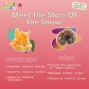 supermush-daily-creativity-and-connectio-5.jpg
