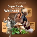 mushroom-coffee-mushroom-complex-capsule-5.jpg