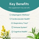 reishi-tincture---nervous-immune-system--3.jpg