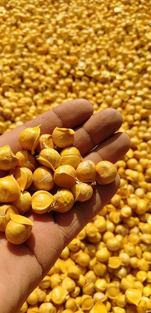 japanese-garlicajo-japones-100-natural-c-3.jpg