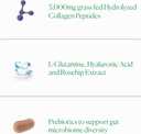 the-nue-co-collagen-gut-barrier-dietary--4.jpg