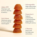 winged-rise-up-gummies-energy-brain-boos-5.jpg