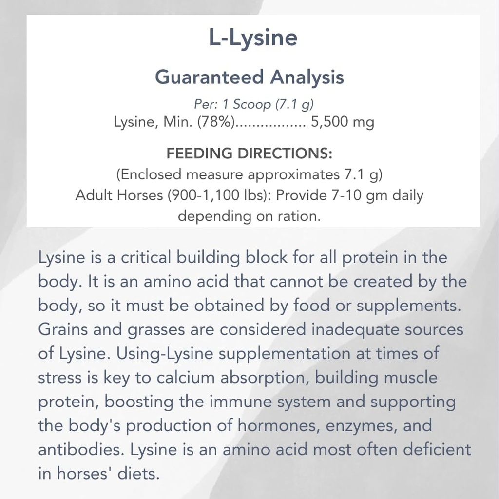 mvp-l-lysine-10lb-for-equine-muscleimmun-3.jpg