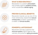 vitasei-wellness-bundle-hydrolyzed-colla-6.jpg