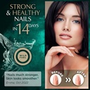 wild-fuel-liquid-collagen-and-appetite-s-4.jpg