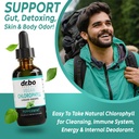 lung-detox-respiratory-health-drops-chlo-5.jpg