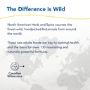 north-american-herb-spice-chagamilk-drin-6.jpg