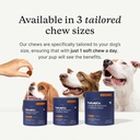 petlab-co-allergy-multivitamin-bundle-on-3.jpg