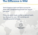 north-american-herb-spice-oregaresp-p73--6.jpg