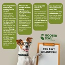 rooted-owl-urinary-support---echinacea-a-6.jpg