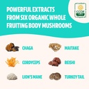 freshcap-mushrooms-energy-bundle-cordyce-4.jpg