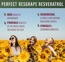 perfect-supplements-perfect-resgrape-res-4.jpg