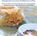 rx-vitamins-liquid-hepato---liquid-liver-4.jpg