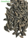 terminalia-chebula-retz-indian-raw-whole-2.jpg