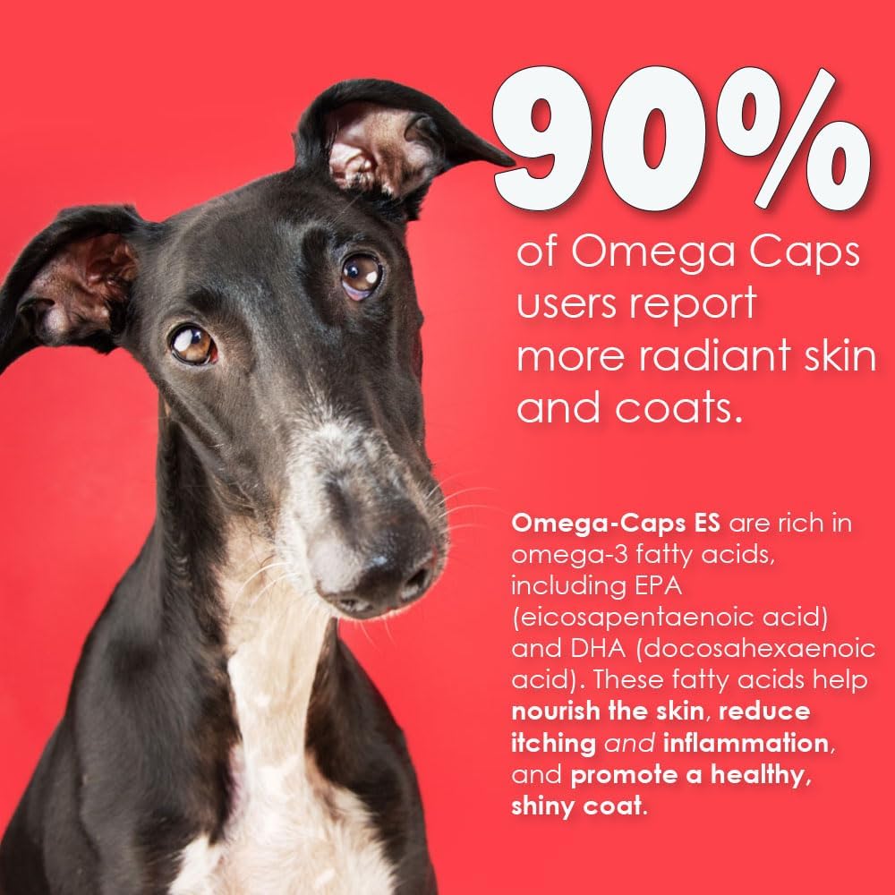 liquid-for-dogs-and-cats-high-potency-om-4.jpg