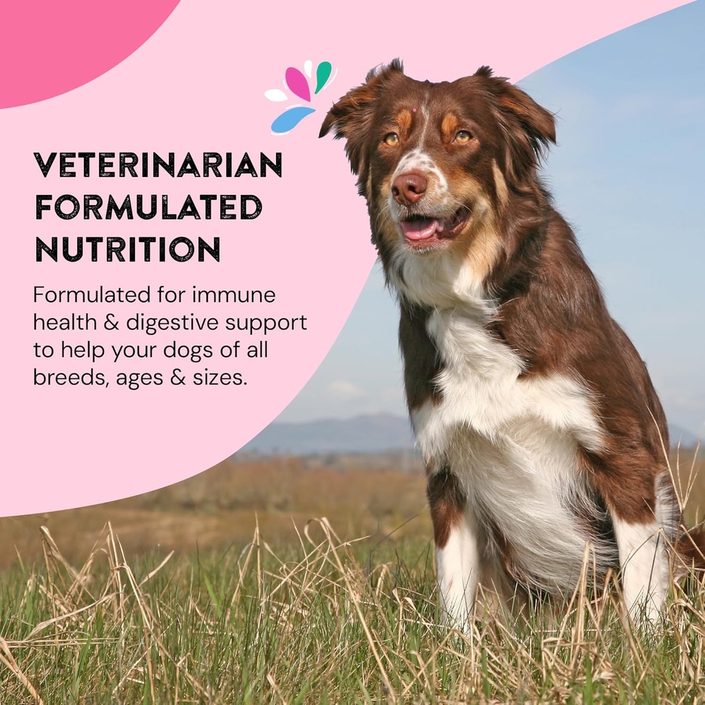 skin-coat-supplements-for-dogs-dog-itchi-5.jpg
