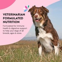 skin-coat-supplements-for-dogs-dog-itchi-5.jpg