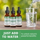 nutramedix-ezov-hyssop-plant-drops---liq-6.jpg