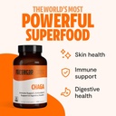 freshcap-immune-defenders-bundle-reishi--4.jpg