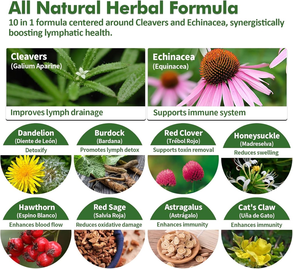 cleavers-lymphatic-drainage-drops-for-ly-4.jpg
