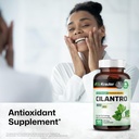 bio-krauter-cilantro-100-capsules-cilant-2.jpg