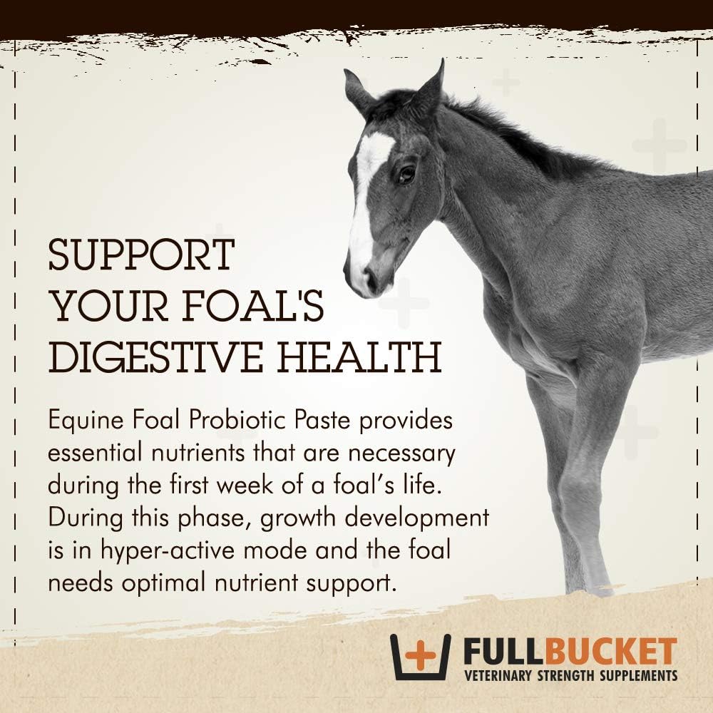 fullbucket-health-foal-probiotic-paste-3.jpg
