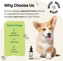 forever-puppy-kidney-support-drops-for-d-6.jpg