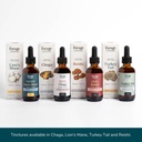 lions-mane-tincture-with-premium-mushroo-4.jpg